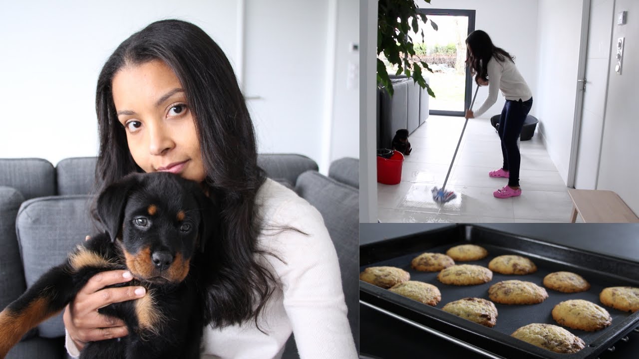Vlog minimaliste | Nouveau chiot, ménage et recette de cookies