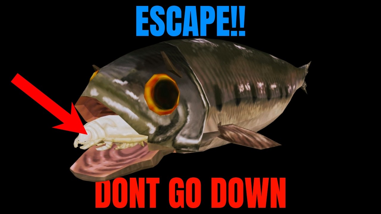 I Should NOT Have Gone Down… | How Fish Is Made