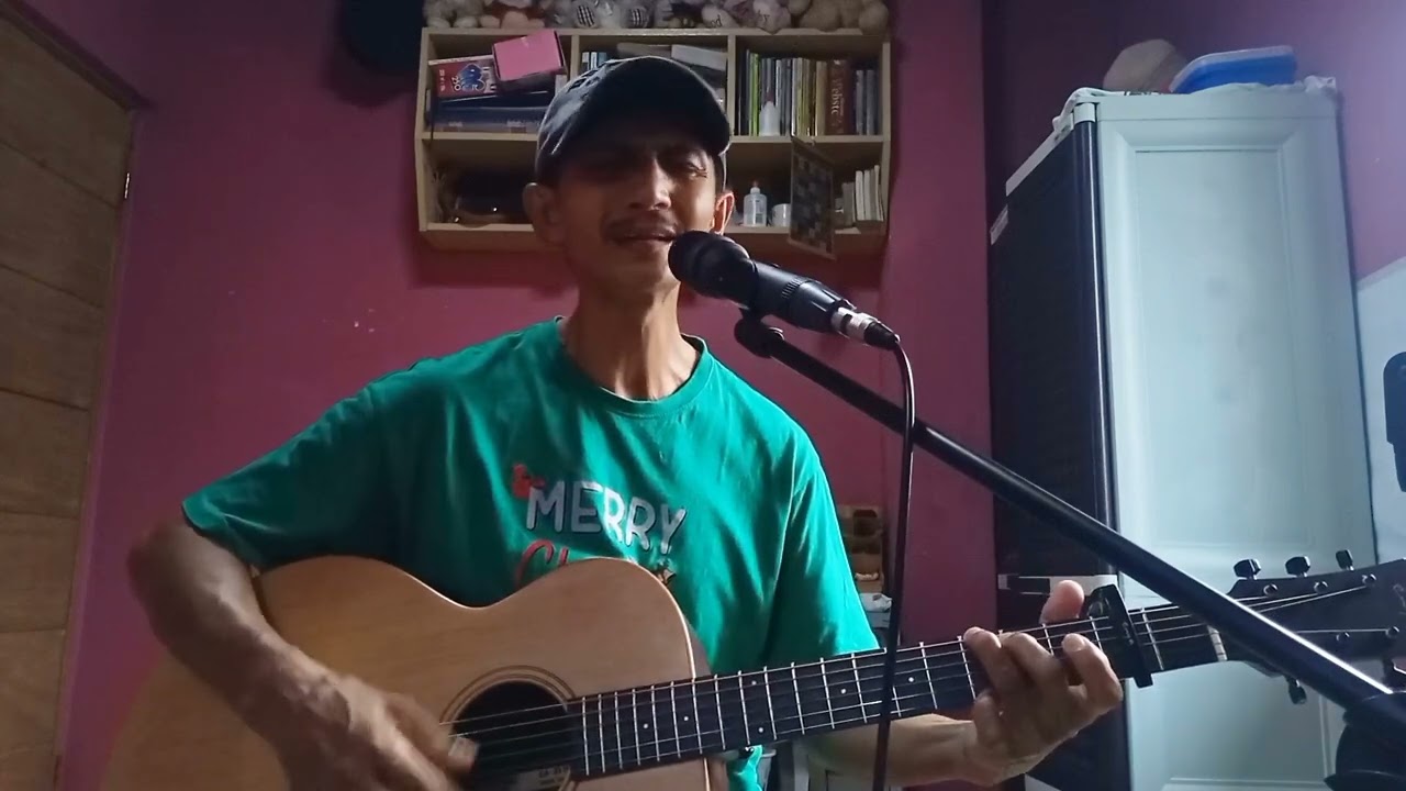 The Boxer (Simon and Garfunkel) cover