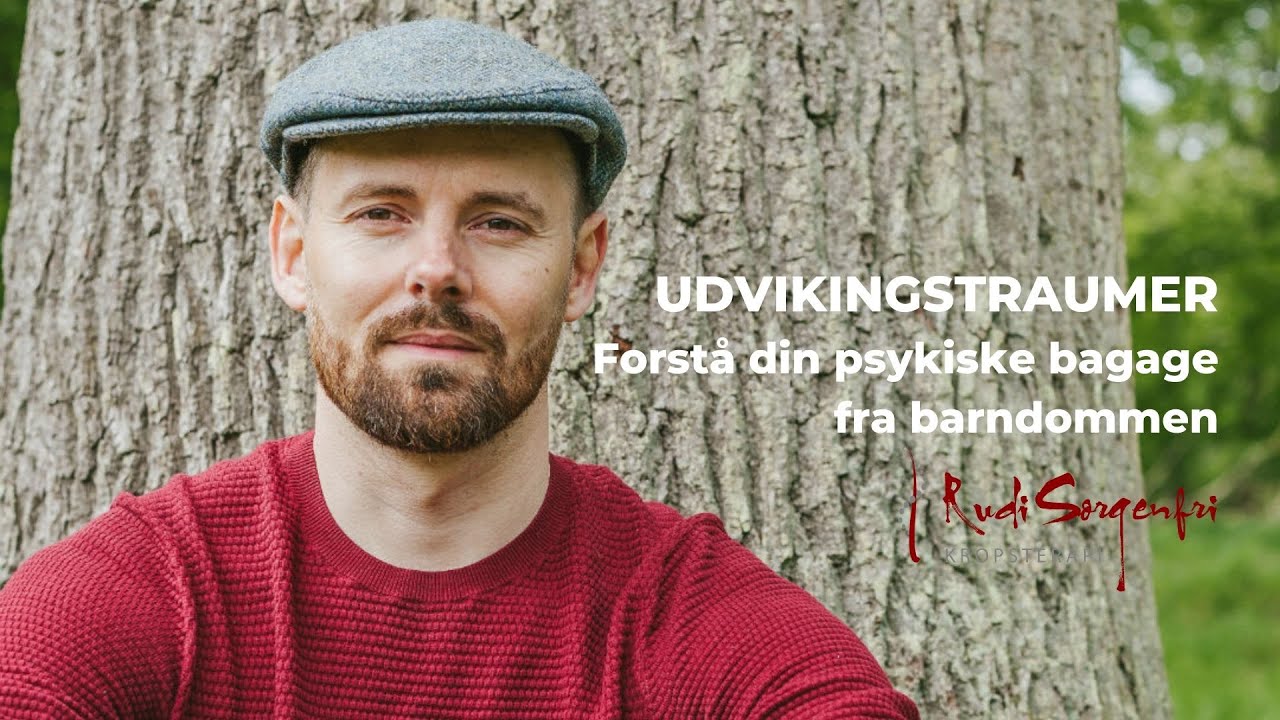 Udviklingstraumer - forstå din psykiske bagage fra barndommen