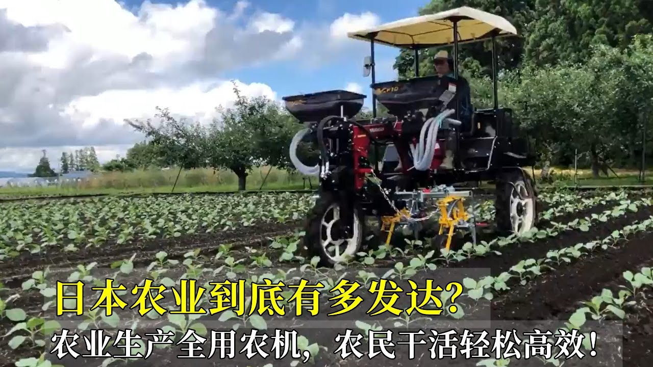 日本農業到底有多發達？農業生產全用農機，農民幹活輕鬆高效！