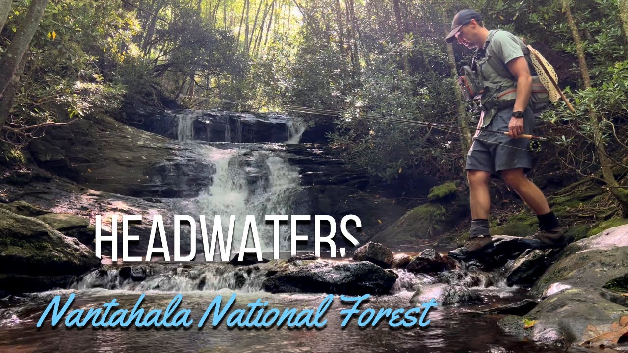 CHASING BROOKIES in the Nantahala National Forest | Headwaters Revisited
