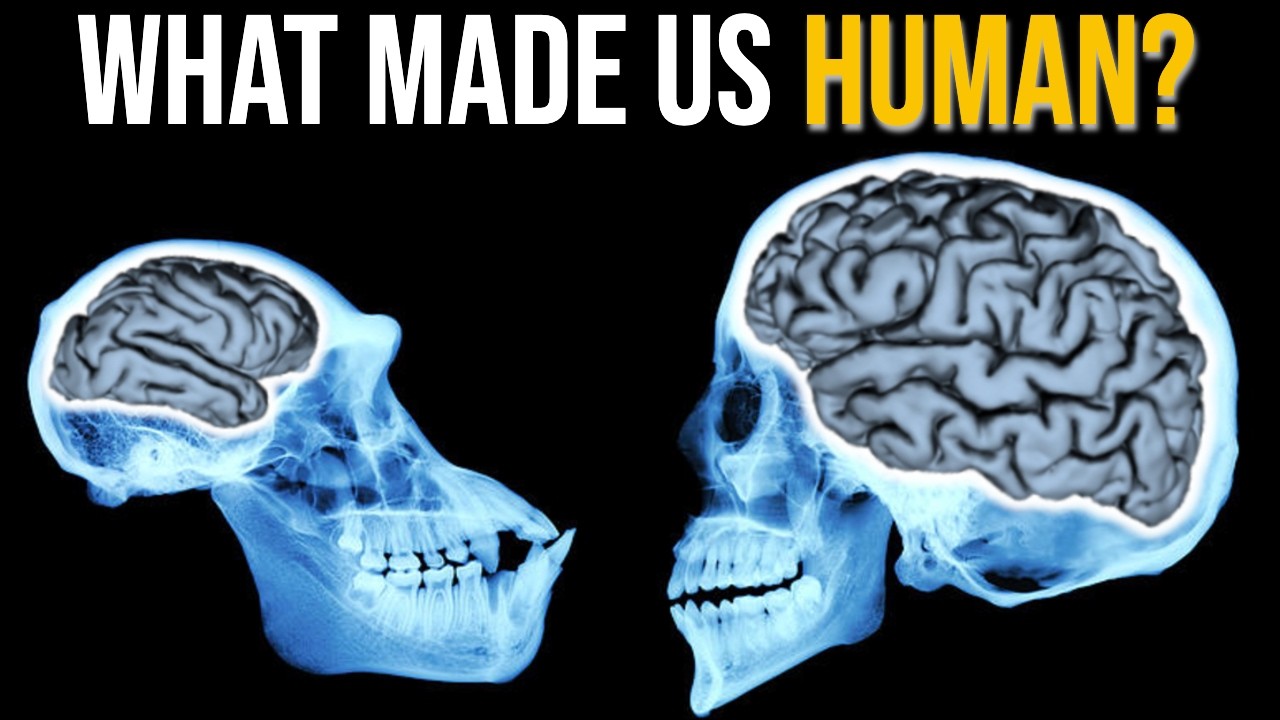 The Evolution of Intelligence: 5 Key Breakthroughs