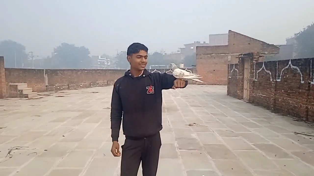 #TeamSadatBlogs Pigeon TRENING 😓😓