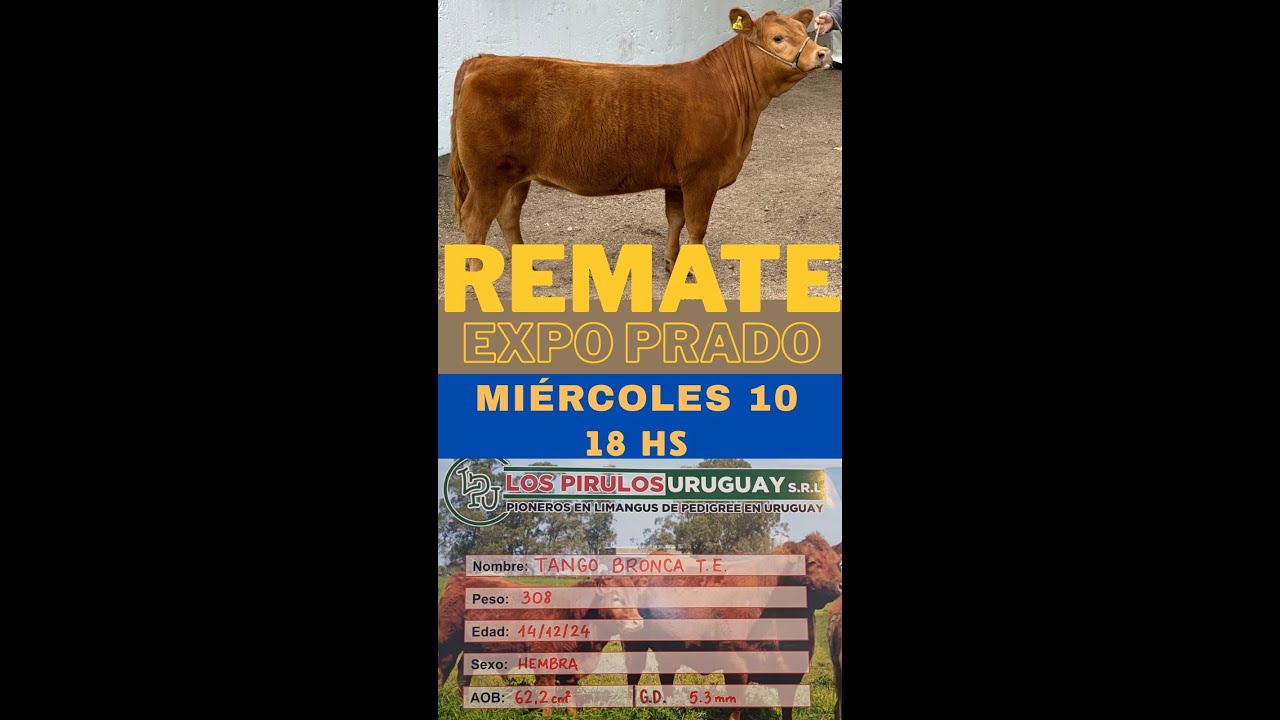 10/9/2025 Expo Prado  - Remata Milton Franco