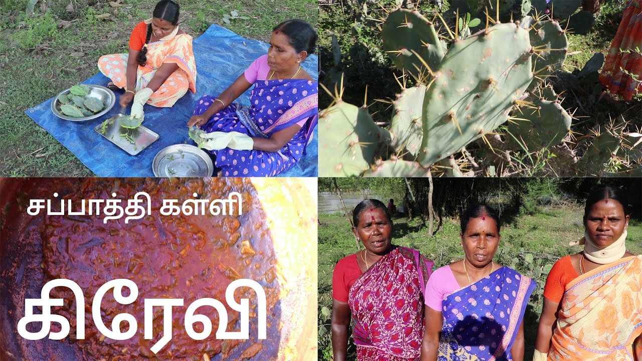 வித்யாசமான சப்பாத்தி கள்ளி  கிரேவி / Prickly Pear Cactus GRAVY
