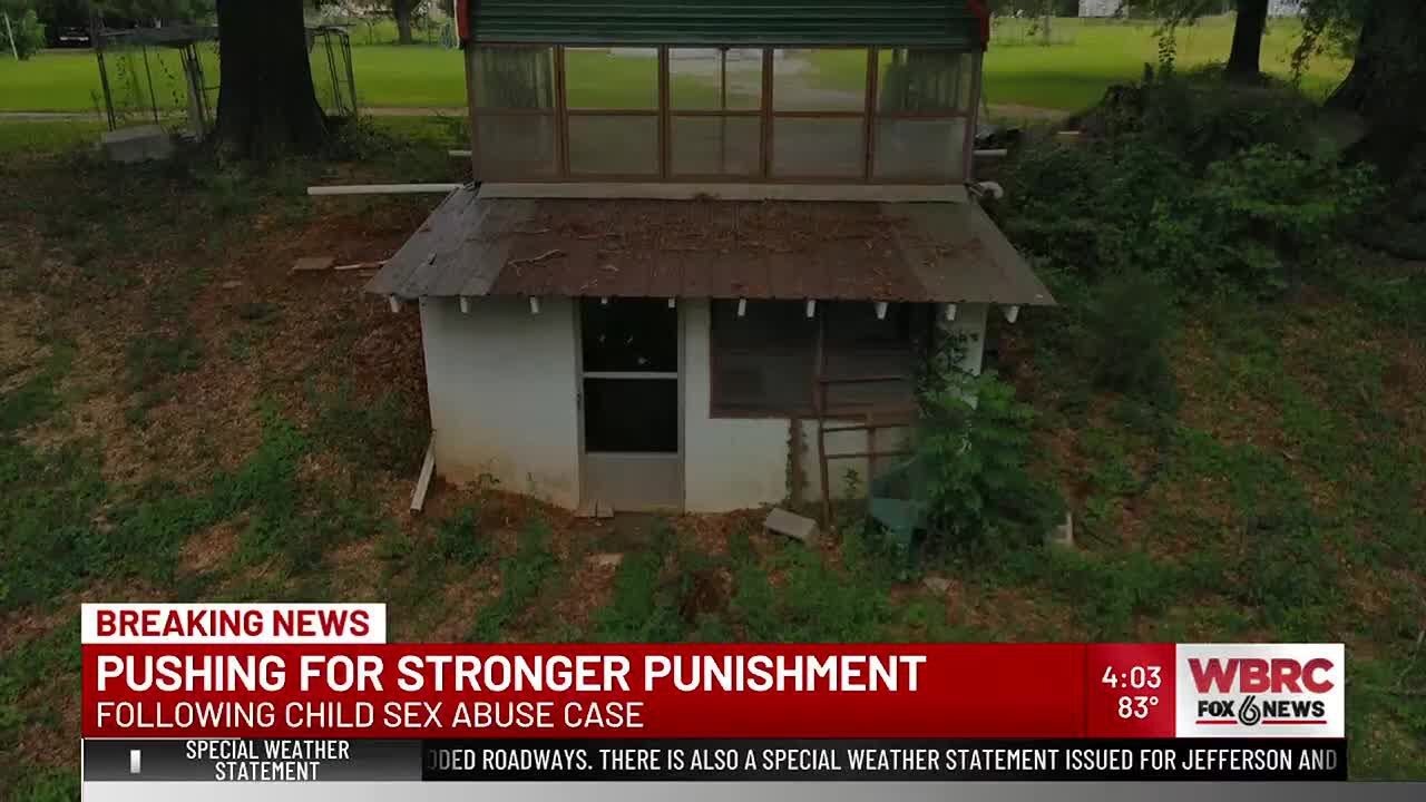 Pushing for stronger punishment following Bibb County child sex abuse case