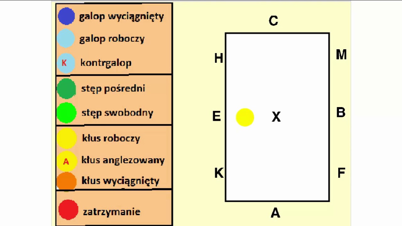 Srebrna Odznaka Jeździecka 2019 czworobok animacja