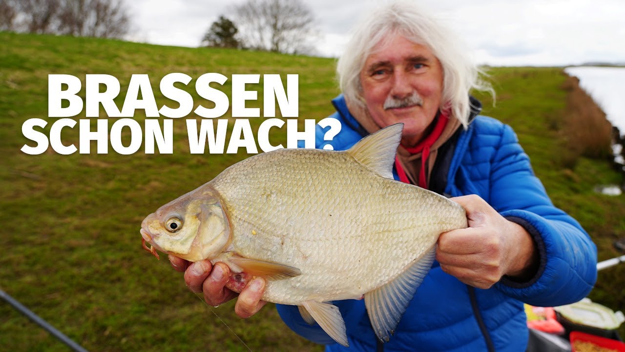 FRIEDFISCHESKALATION im MÄRZ? - JÖRG OVENS mit FEEDER & WAGGLER - Fang mal was