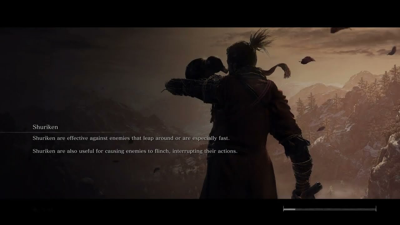 Sekiro 8: Work Work Work