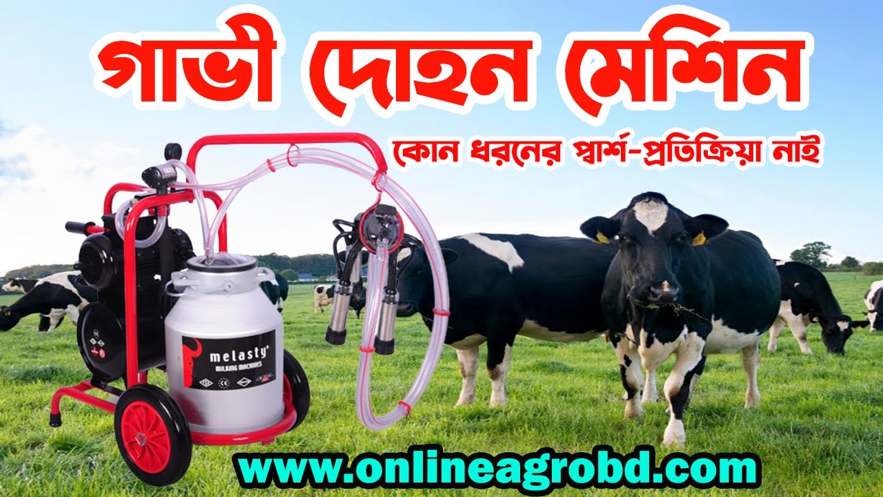 Single cow milking machine price in Bangladesh || আধুনিক খামারের মিল্কিং মেশিন