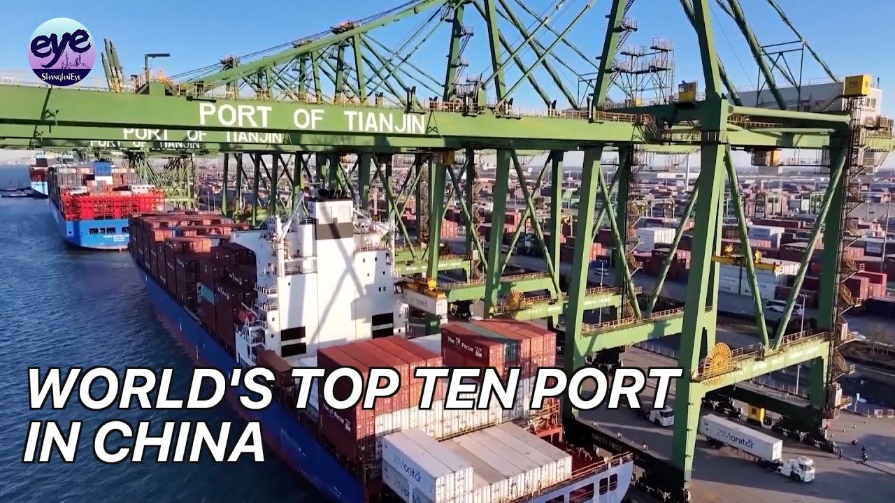 Fully automated Tianjin Port draws global fleets with unmatched efficiency