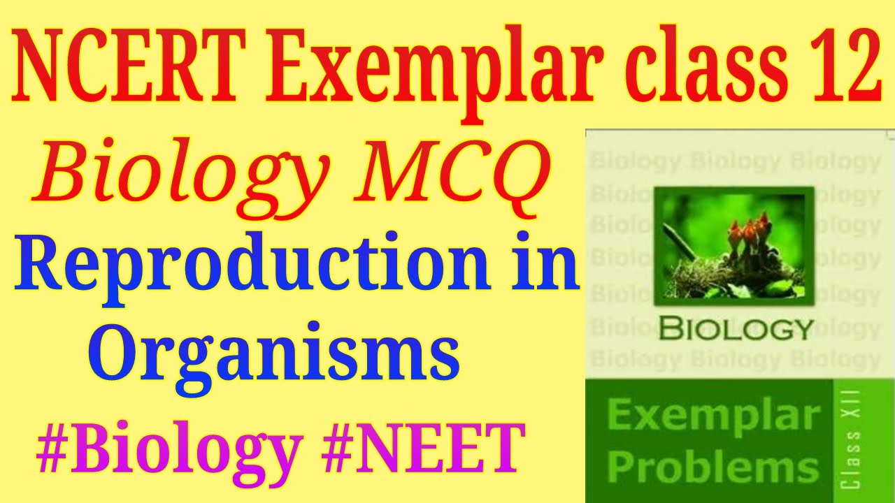 NCERT exemplar class 12 biology Reproduction in organisms mcq