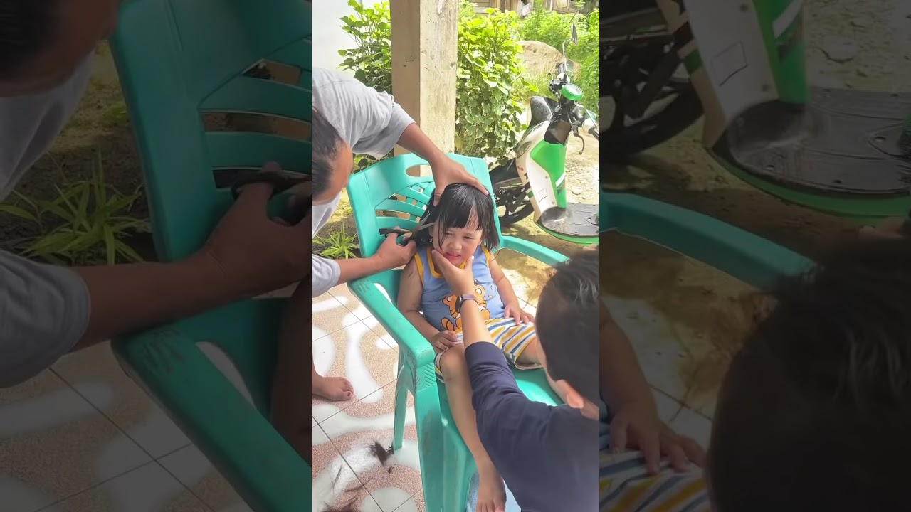 Akhirnya felis bawa pulang kucing🥰#minivlog #dailyvlog #adayinmylife #iburumahtangga