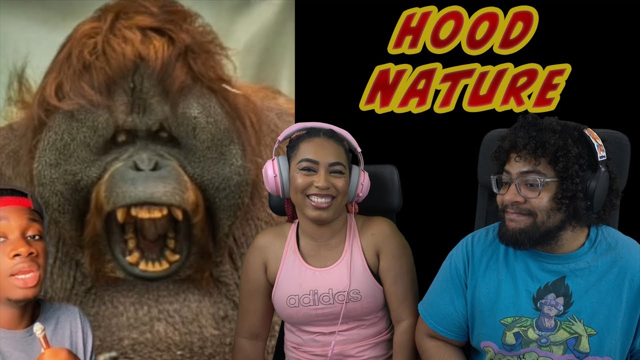 Hood Nature (также известный как Casual Geographic) объясняет проблему с Macaque при участии Chavezz