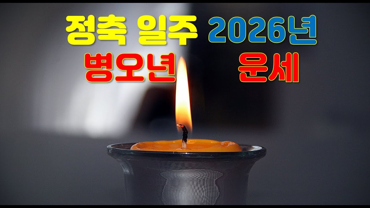 정축일주, 2026년 병오년 운세예측