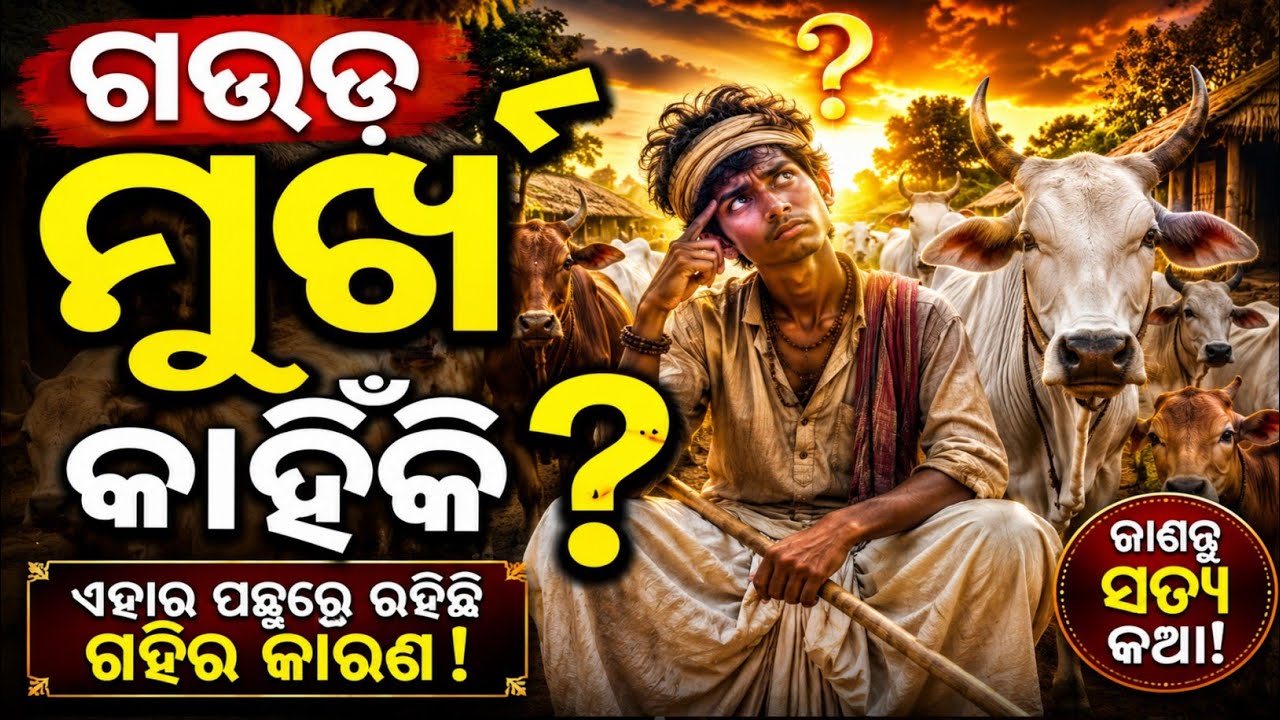 ଗୌଡ଼ ମୂର୍ଖ କିପରି ହେଲା।। Gouda Murkha Kahinki ।। Aamaracharcha