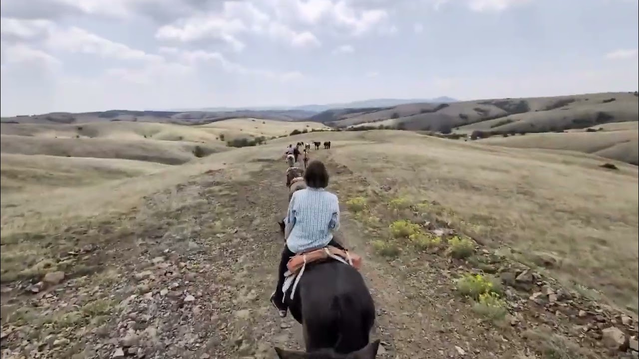 horse adventure serbia