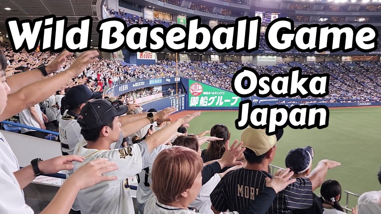 Wild Baseball Game In Japan
