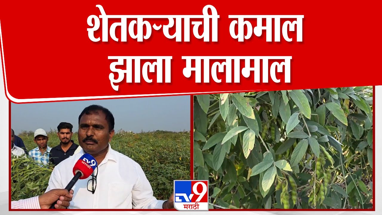 Yavatmal | यतमाळमध्ये शेतकऱ्याची कमाल झाला मालामाल