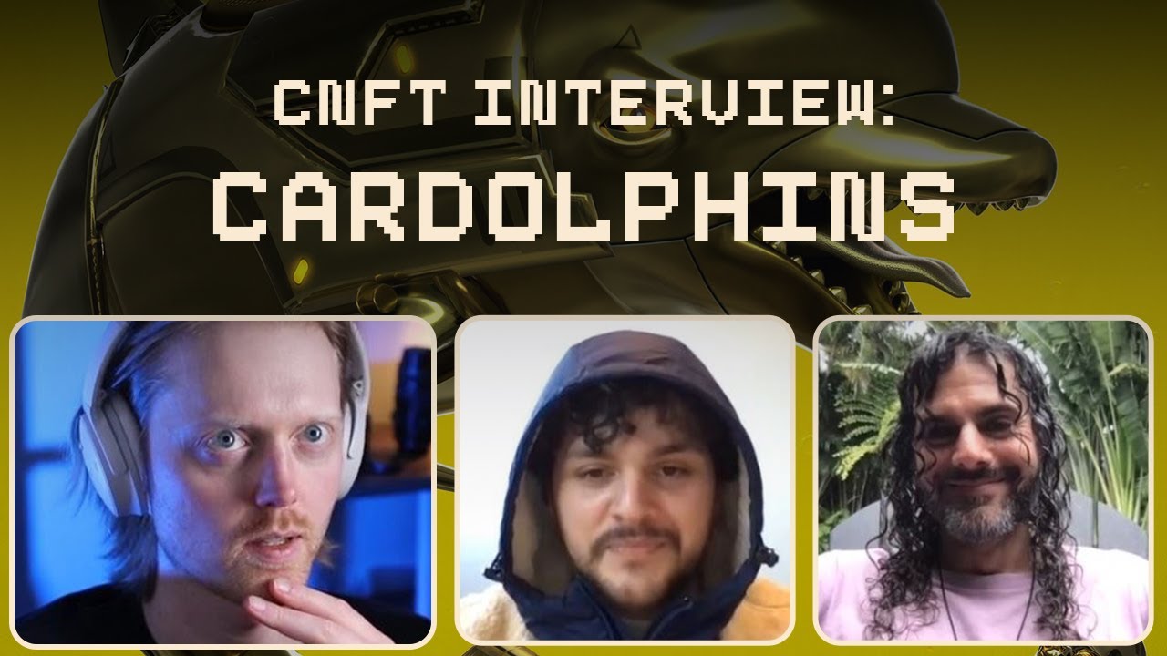 CNFT Interview: Cardolphins