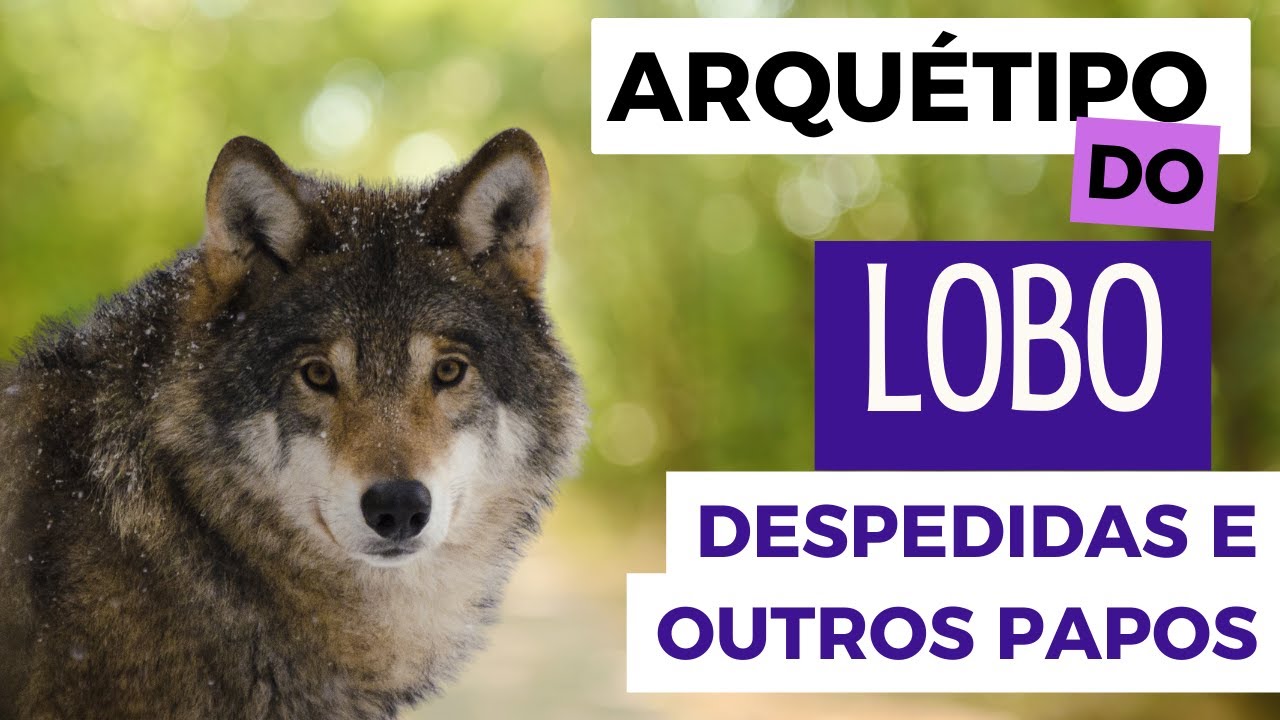 Lobo, despedidas e outros papos