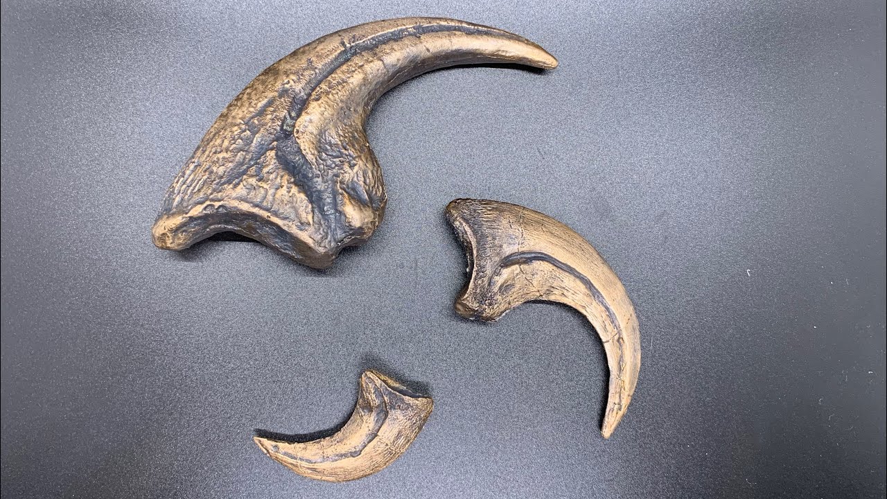 Casting Bronze Velociraptor Claws and Friends.