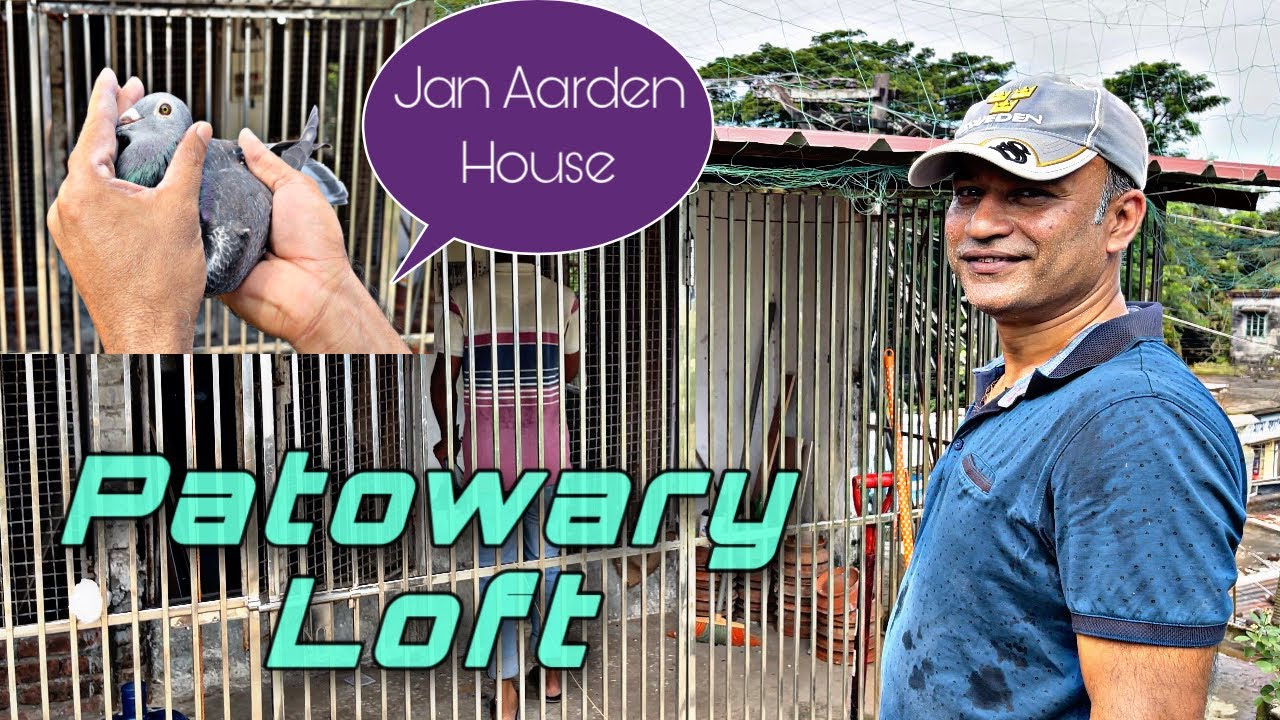 Jamal Patowary Loft | JAN AARDEN House | 500 K.M. Highest distance race performance in Bangladesh.🙂