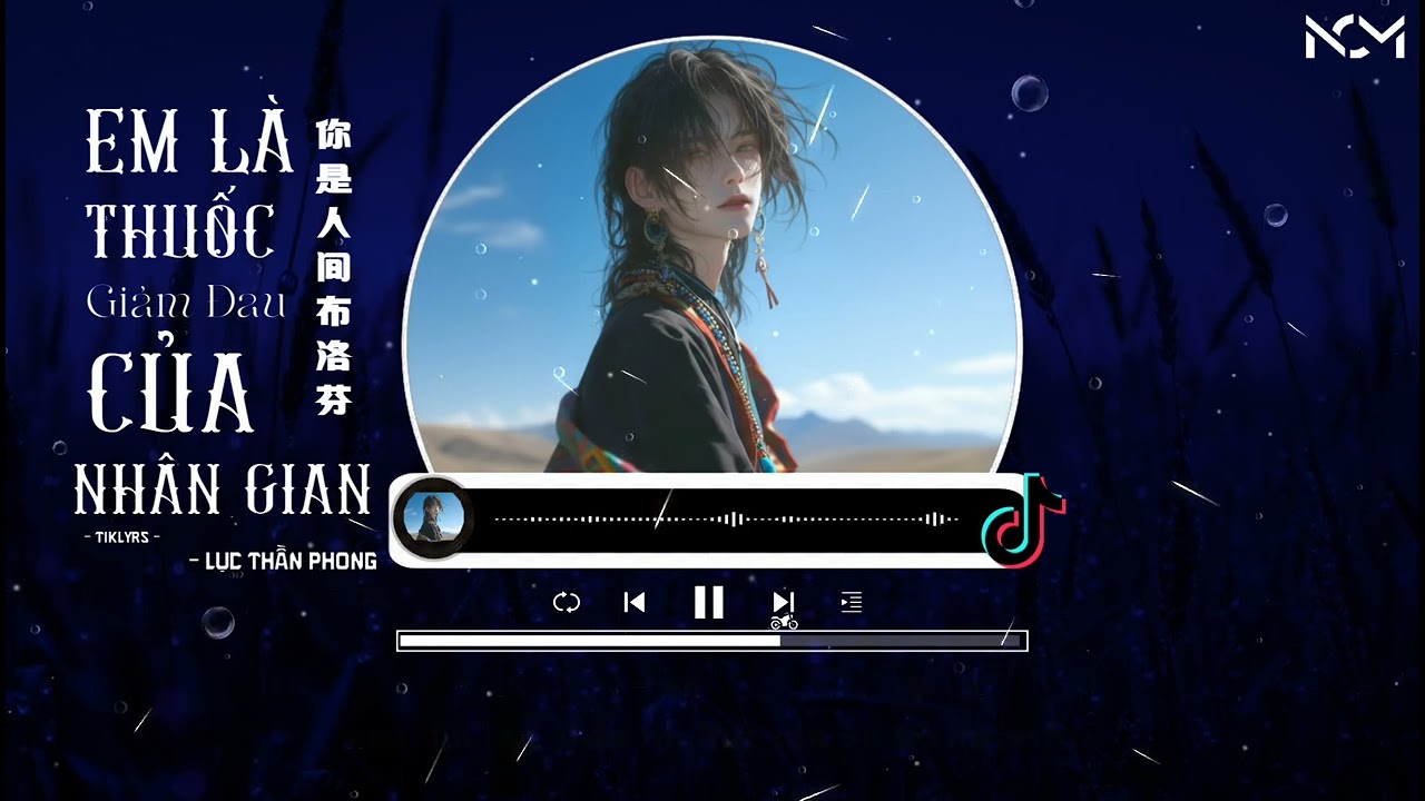 [Vietsub - Pinyin] Em Là Thuốc Giảm Đau Giữa Nhân Gian - Lục Thần Phong｜陆晨风 - 你是人间布洛芬
