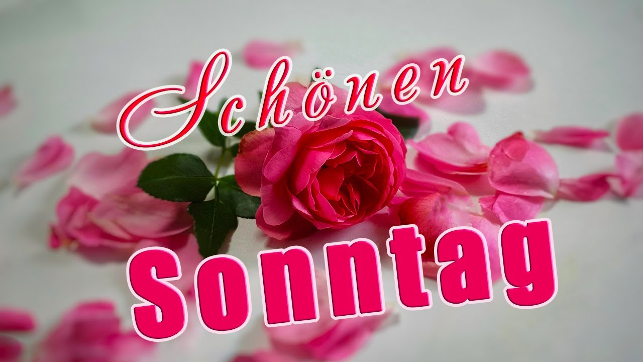 Sonntagsgru&szlig; f&uuml;r Dich🌞🌹