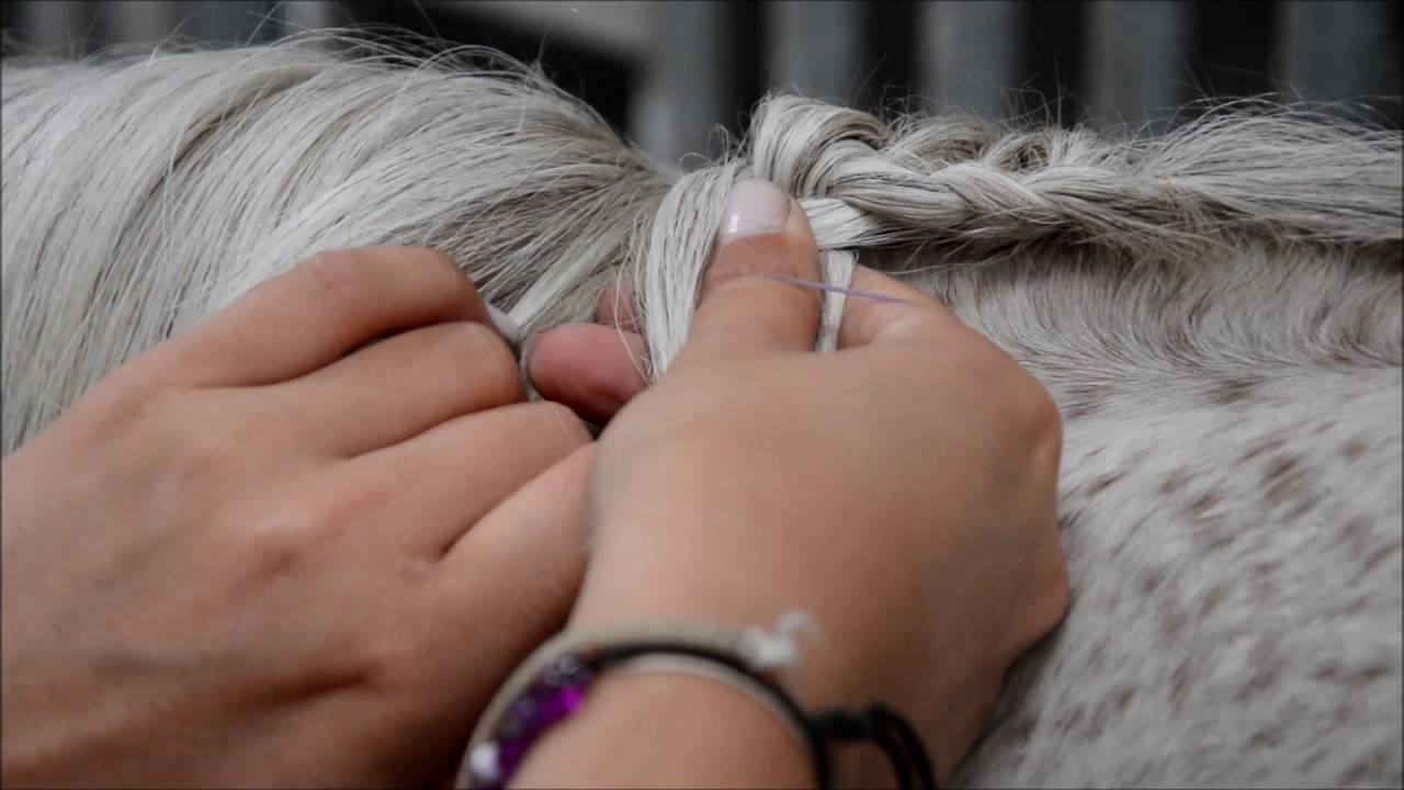 ||TUTO|| LA TRESSE COLLEE