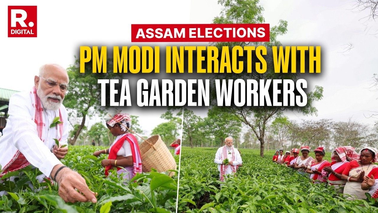 Assam Elections: PM Modi Interacts With Tea Garden Workers, Seen Plucking Leaves Ahead Of Rally