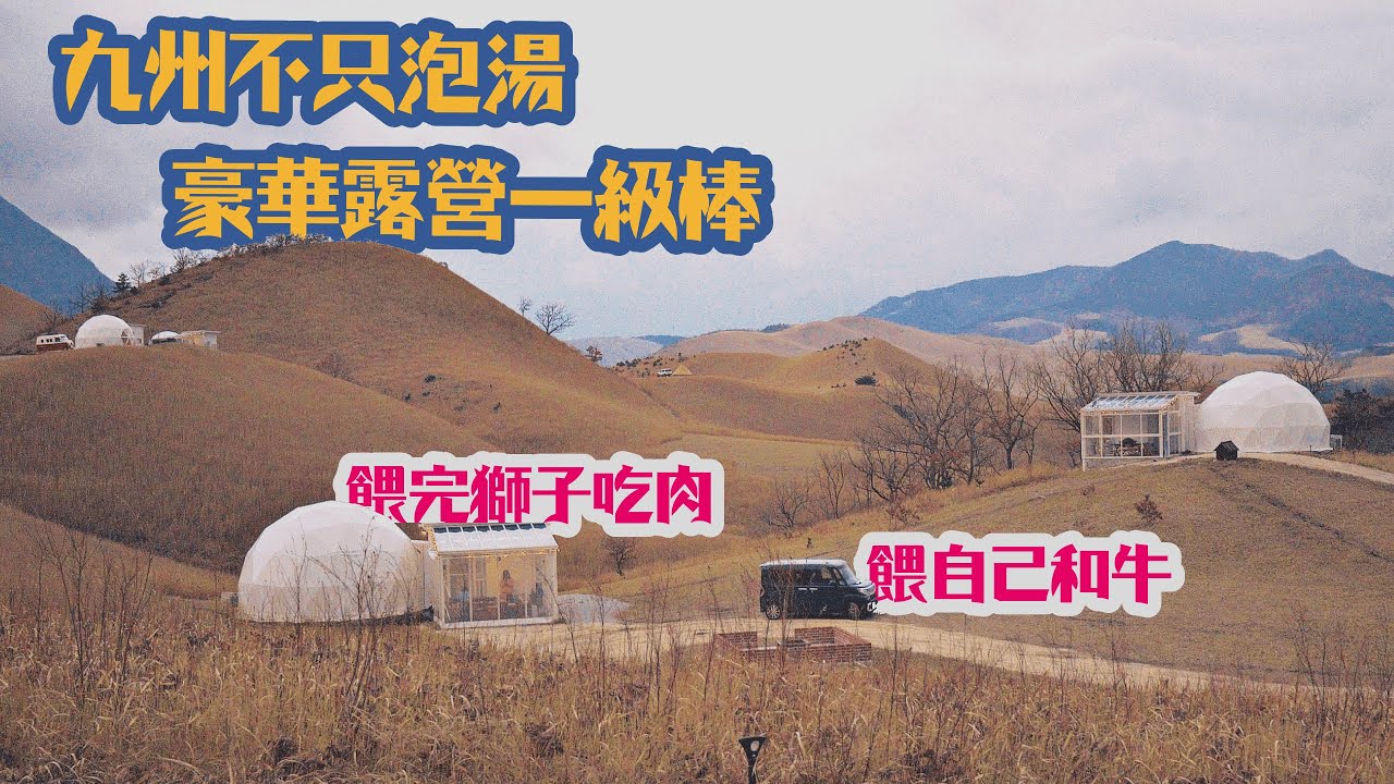 第一次日本豪華露營開箱，搭配九州自然動物公園行程剛剛好 | 放電去010 | #Jungle bus #親子旅行 #別府 #湯布院 #glamping #グランピング #bbq