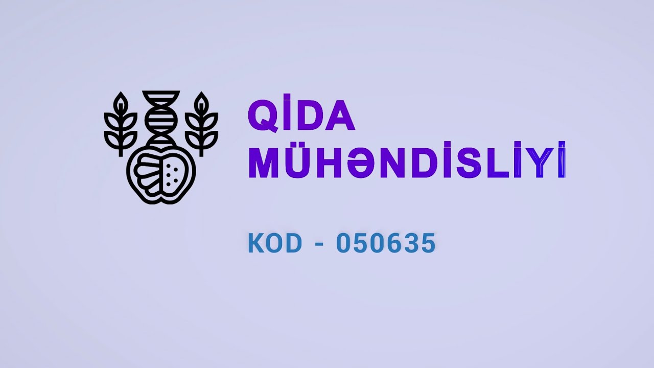 Qida mühəndisliyi