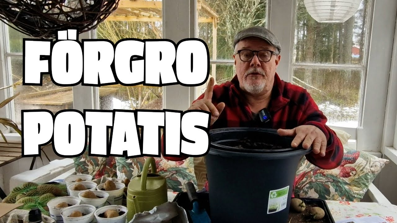 April - Fixa potatis till midsommar