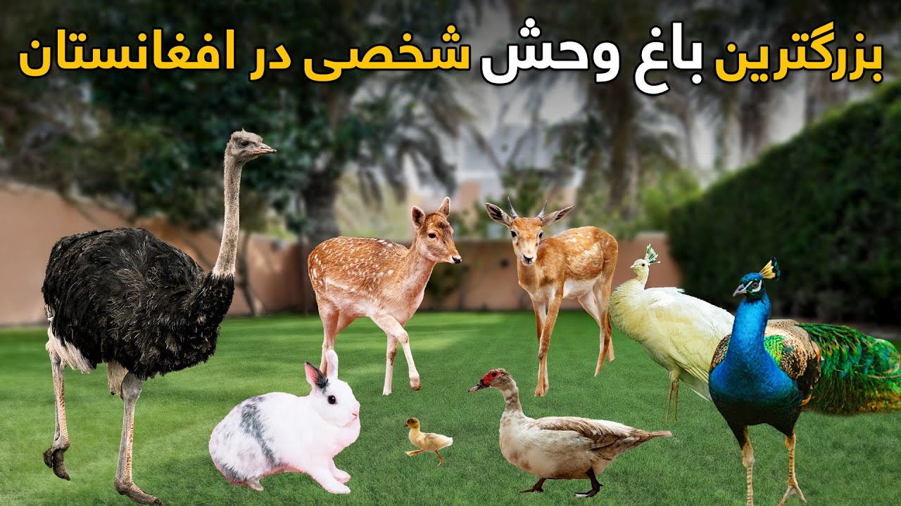 ساخته شدن بزرگترین باغ وحش با پول شخصی در ولایت کاپیسا