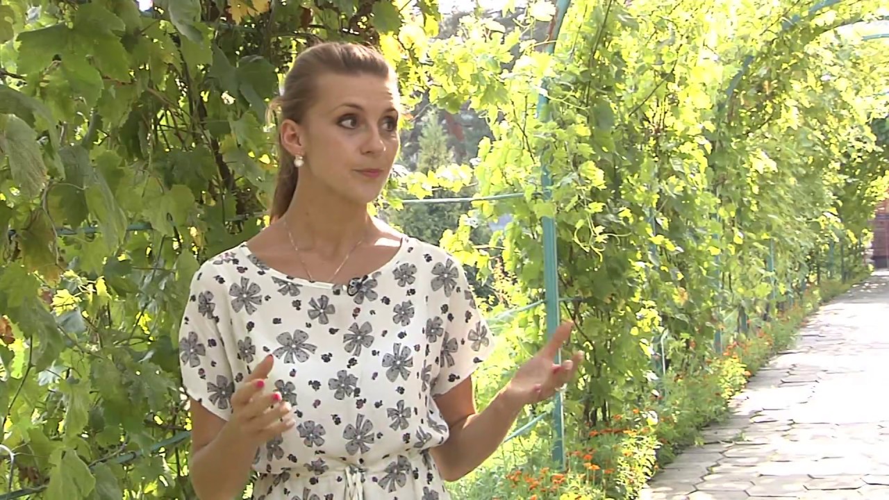 Санаторій 