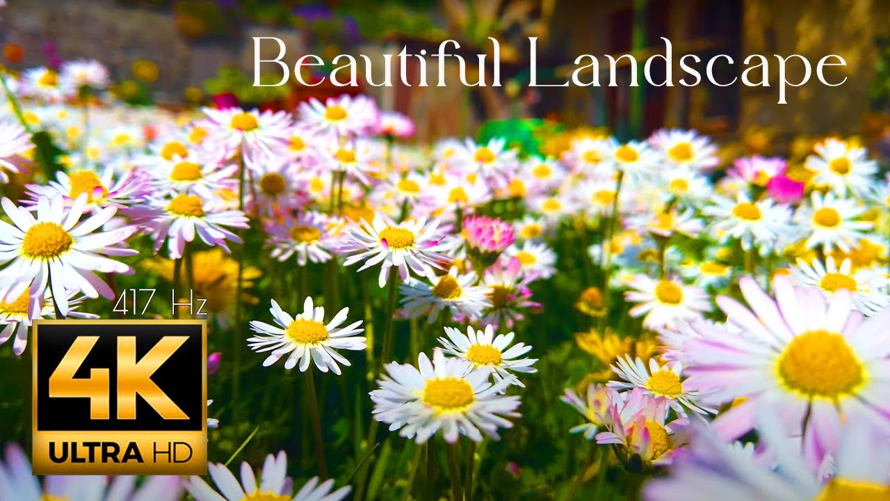 Beautiful landscape with healing music for deep relaxation. Germany, Bavaria, Austria