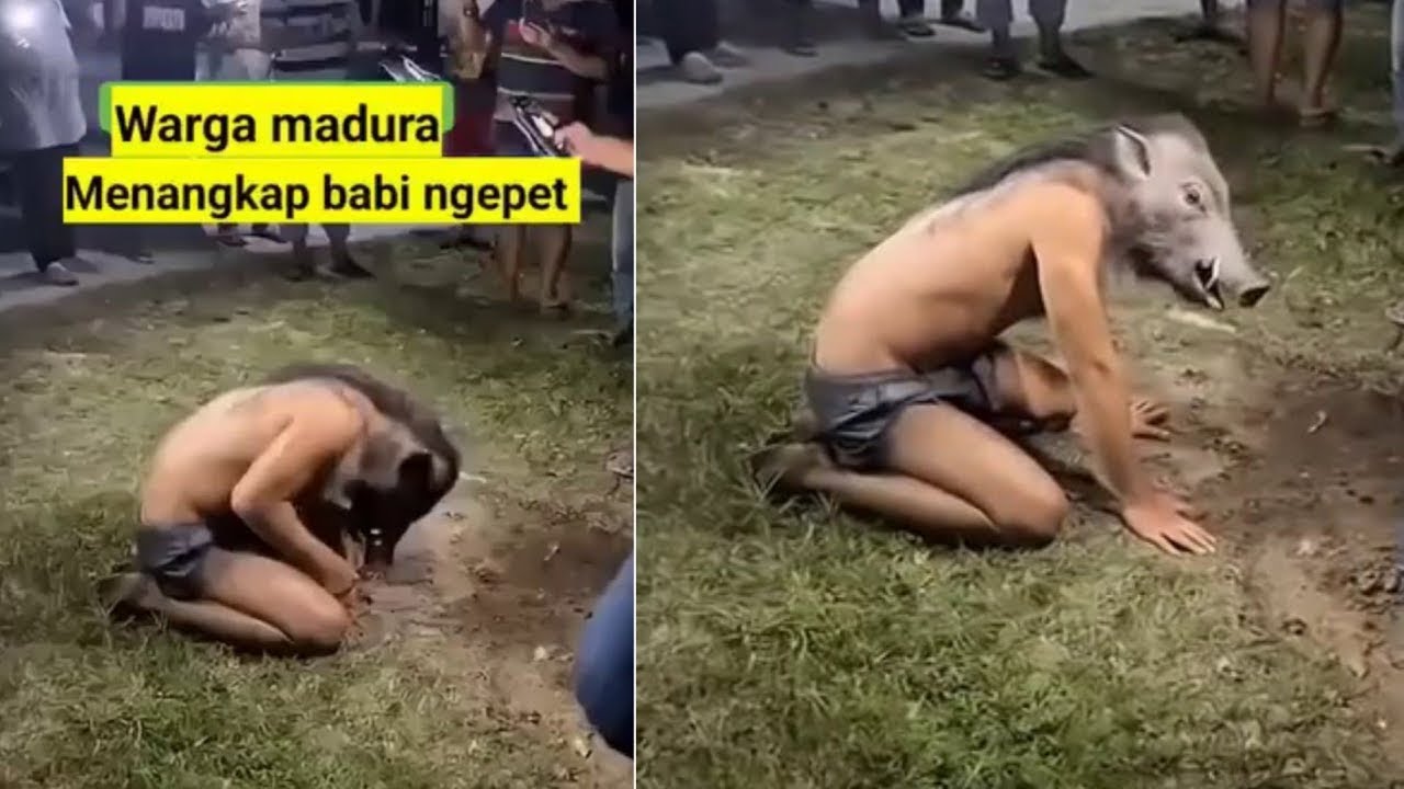 SE VOC&Ecirc; ACHAVA QUE TINHA VISTO TUDO ASSISTA ESSE V&Iacute;DEO BIZARRO V&Iacute;DEOS ASSUSTADORES