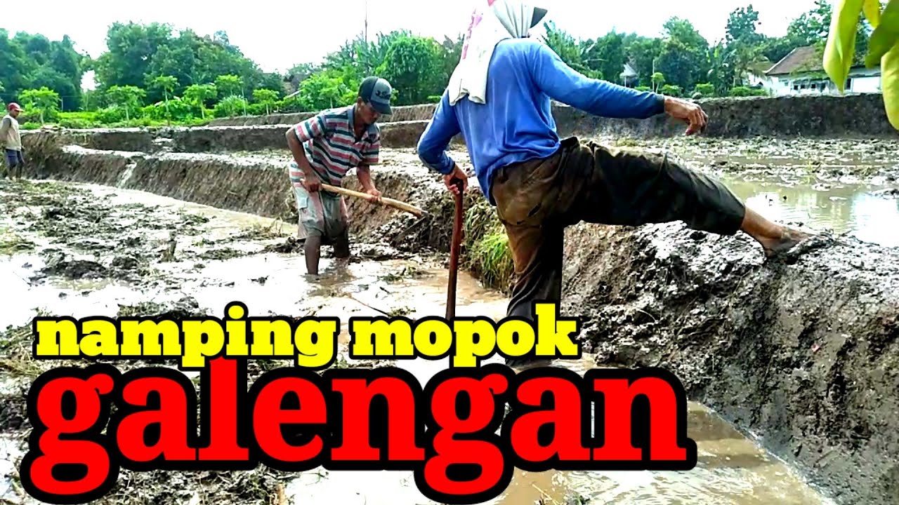 Namping Mopok Galengan Untuk Lahan Tanam Padi
