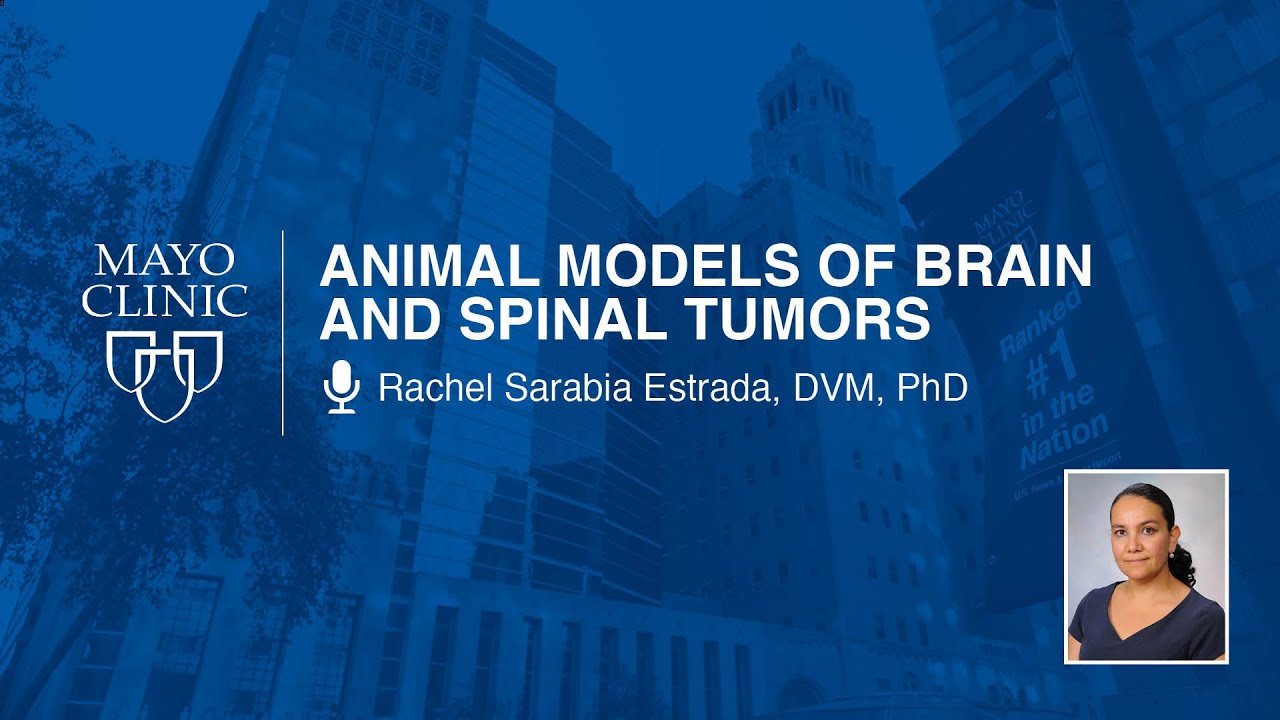 Animal Models of Brain and Spinal Tumors by Rachel Sarabia Estrada, DVM, PhD | Preview