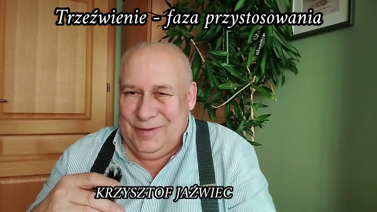 2025 11 10 Trzeźwienie   faza przystosowania