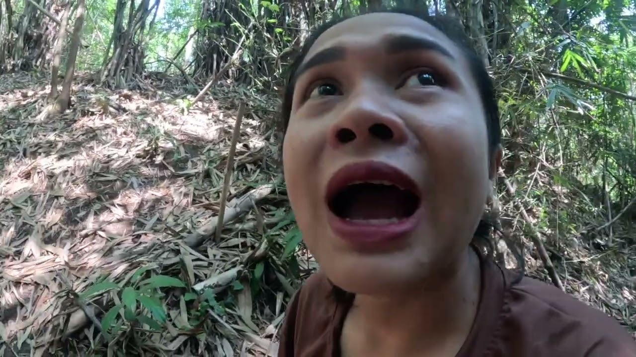 เข้าป่าลึกไปฟังเสียงธรรมชาติ อันตรายใกล้ตัว