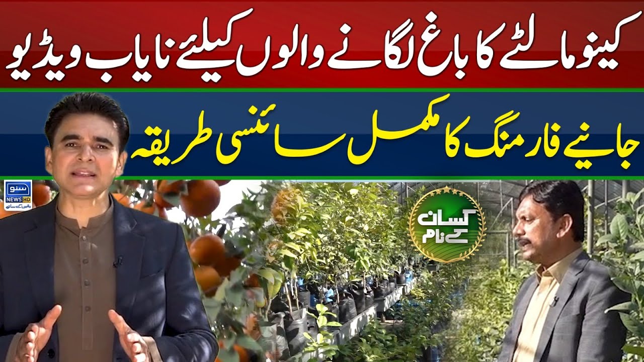 Sowing technology of citrus | How to start citrus orchard in Pakistan | Kissan Kay Naam | EP 48