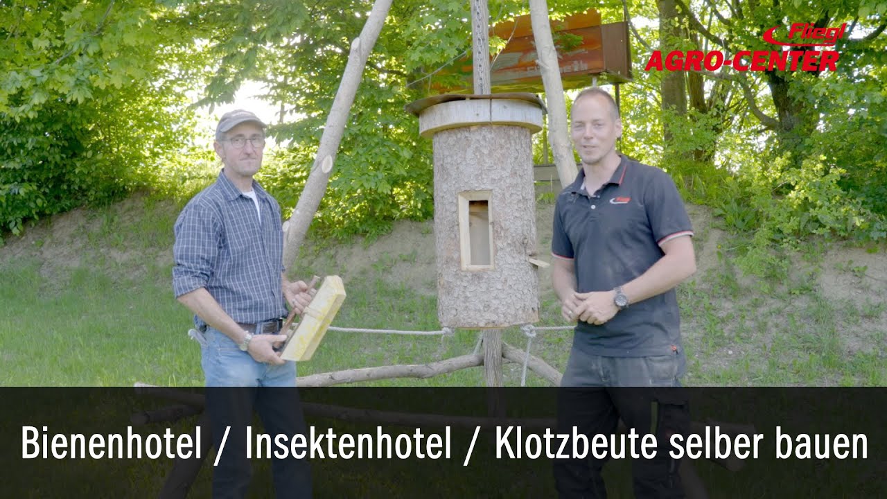 Bienenhotel Insektenhotel Klotzbeute Bauen Bienen Baumstamm Imker Fliegl