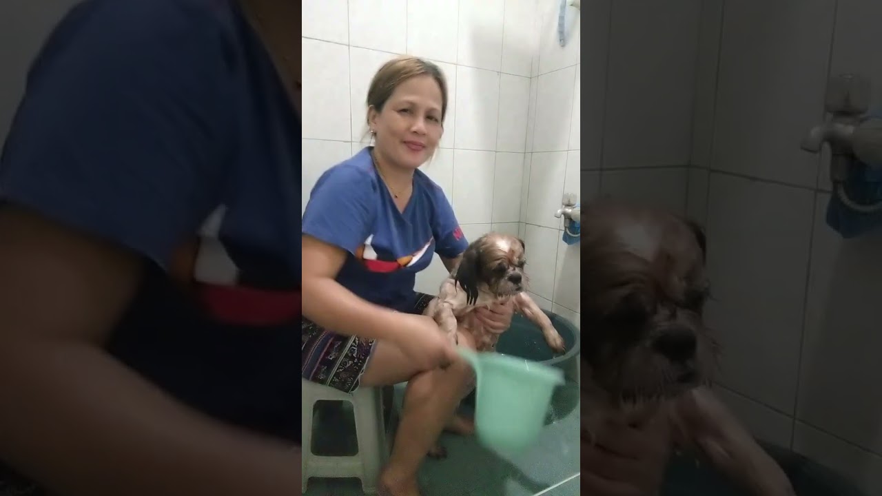 Hunter's Bath time