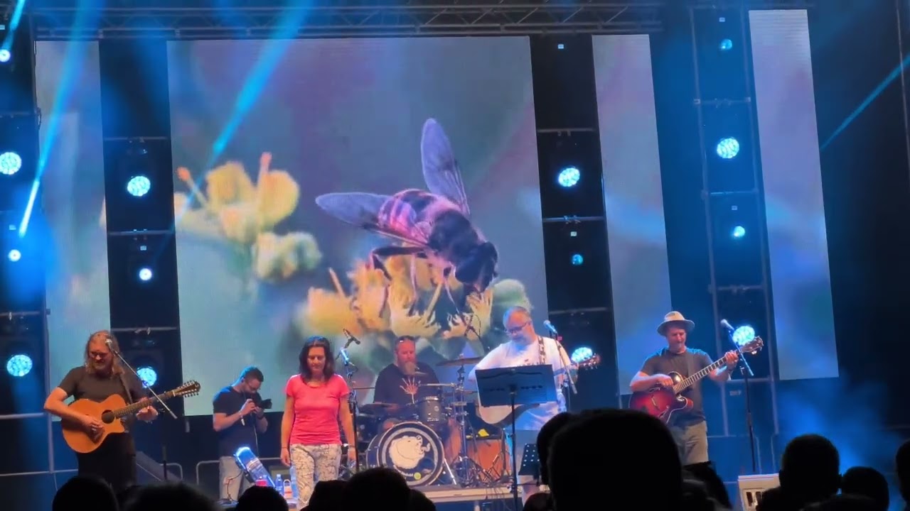 Honza Nedvěd ml. - Hejna včel - COUNTRY LODENICA 2024 naživo, live