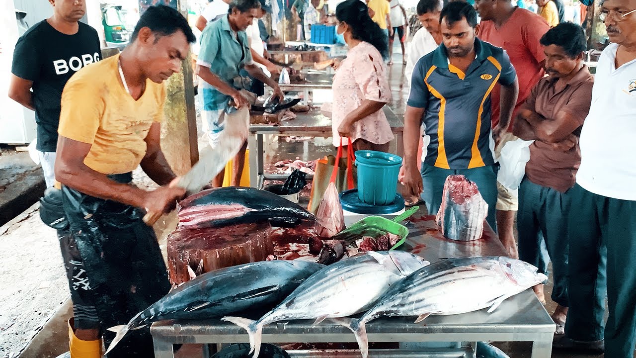 Best Fish Cutting Skills Sri Lanka | Fish Cutting Experts