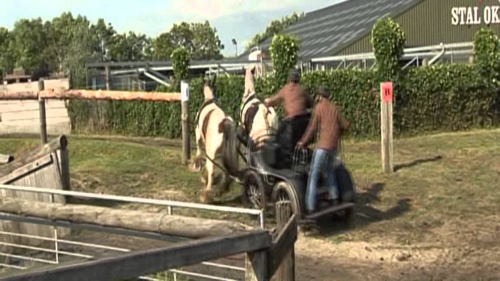 Stalokkema Topspeed 8 fan jeth 2012 paarden marathon