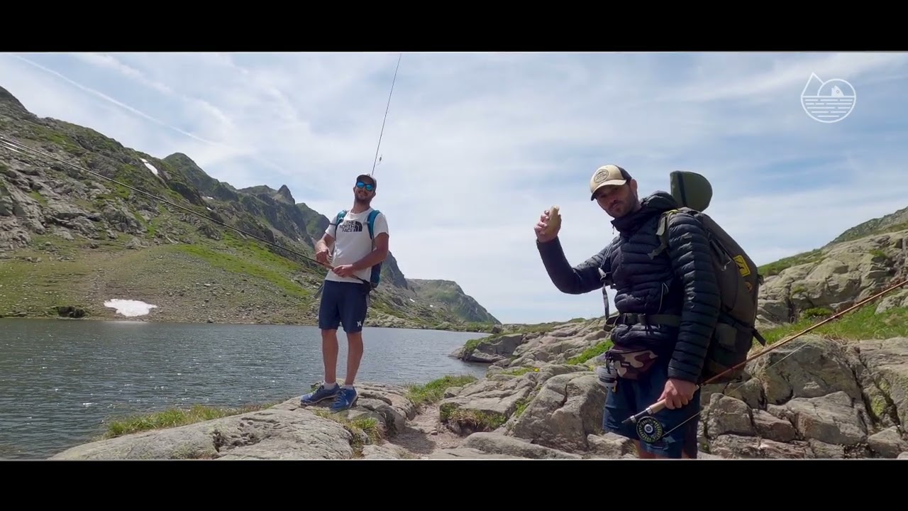 ALTITUDE PECHE - Vœux 2026